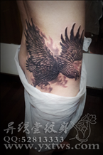 老鹰纹身