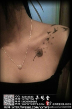 美女蒲公英纹身