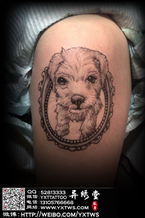 一小女生收养了一只流浪的小狗 满身是病 花去月工资也未能治好 结果还是死了为了纪念  纹此照片