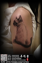 小猫纹身  一只值得主人疼爱 想念的小猫 它肯定是只好猫 可惜命不长 还是去世了 两夫妻各纹一张照片纪念