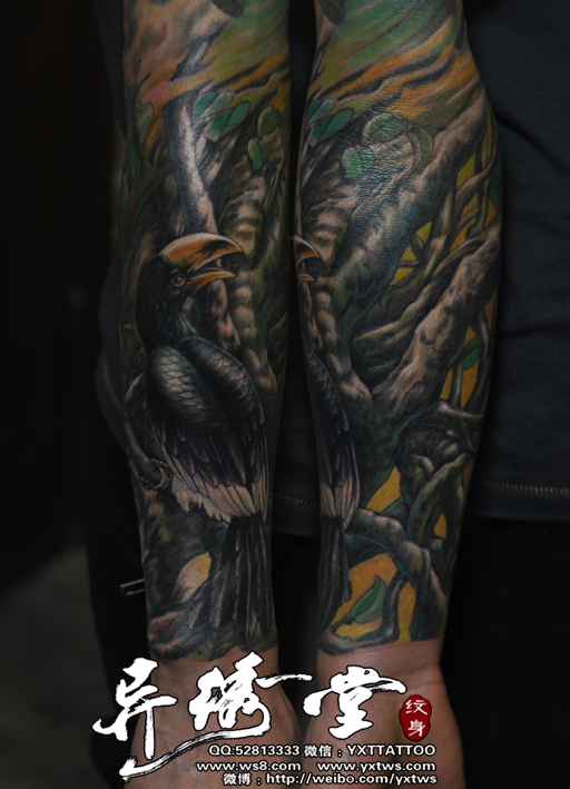 里约大冒险榕树大嘴鸟彩色花臂纹身