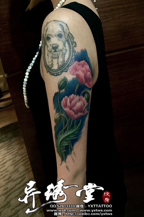美女罂粟花大臂彩色纹身