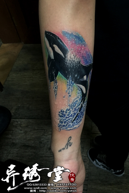 美女小臂虎鲨纹身