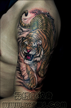 老虎纹身