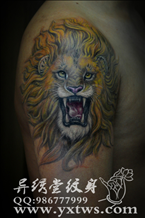狮子纹身