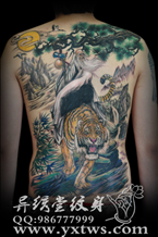 彩色满背纹身