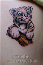 小老虎纹身