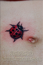 七星瓢虫纹身