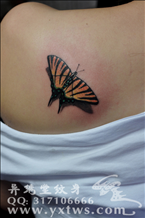 蝴蝶纹身